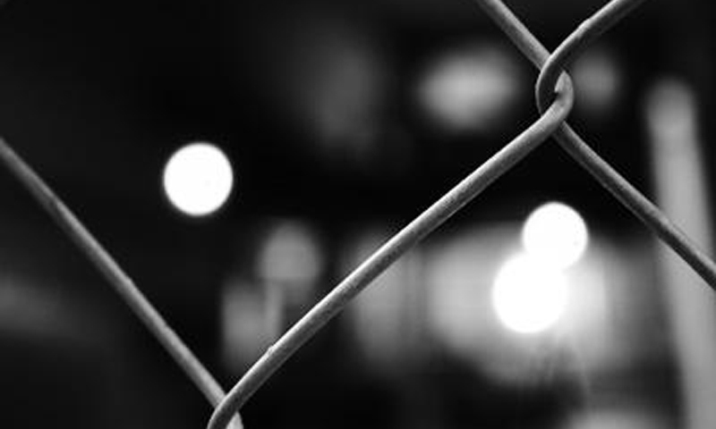 fence1.jpg