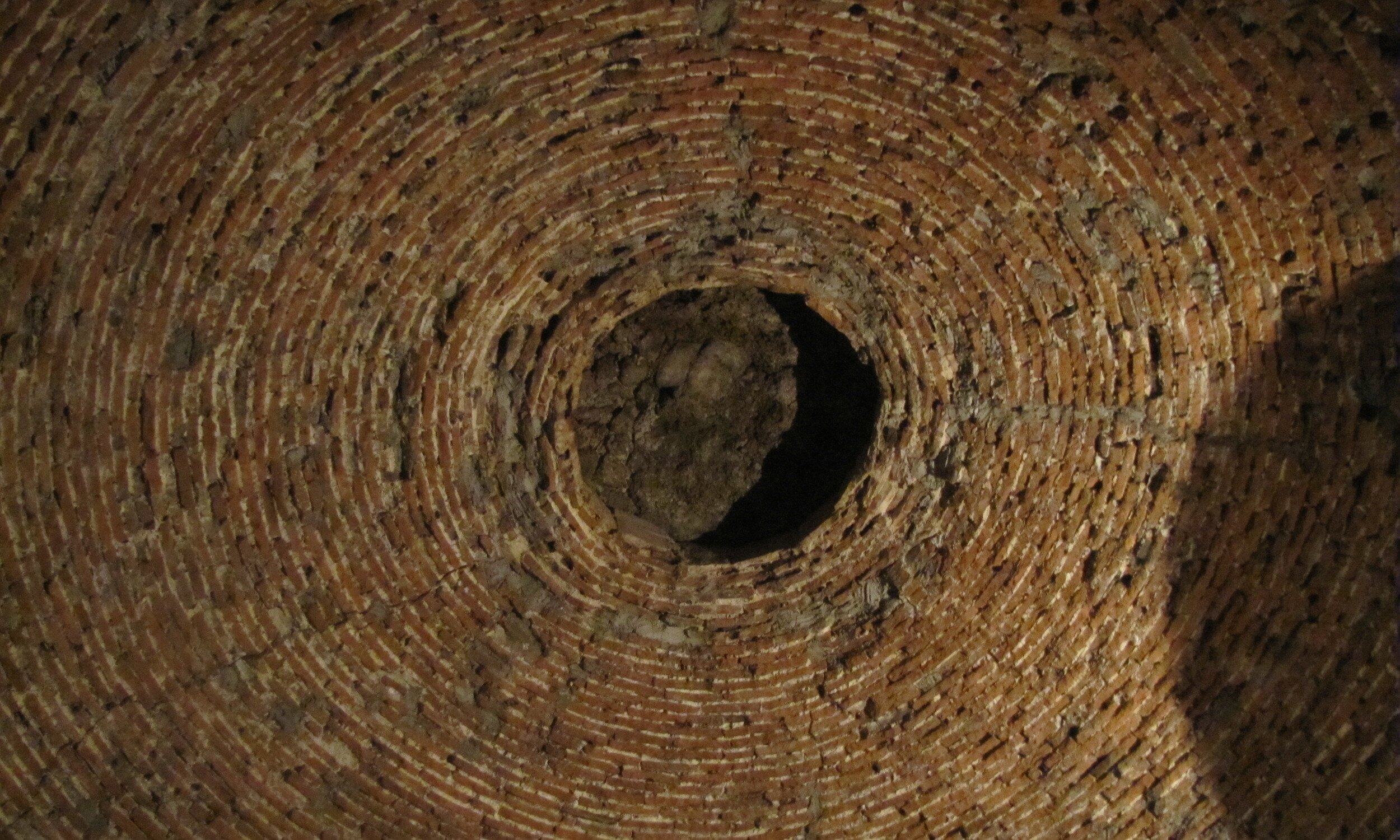 img_3993.jpg